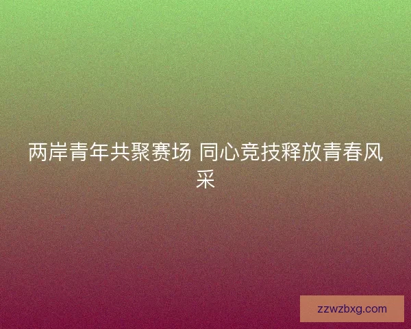 两岸青年共聚赛场 同心竞技释放青春风采